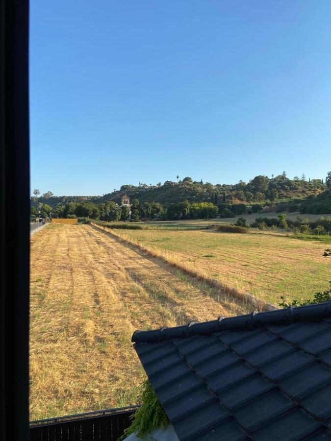 Paz Y Tranquilidad, A Un Paso De Sevilla San Juan de Aznalfarache Ngoại thất bức ảnh