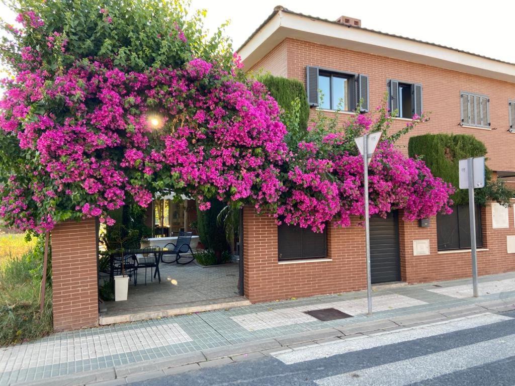 Paz Y Tranquilidad, A Un Paso De Sevilla San Juan de Aznalfarache Ngoại thất bức ảnh