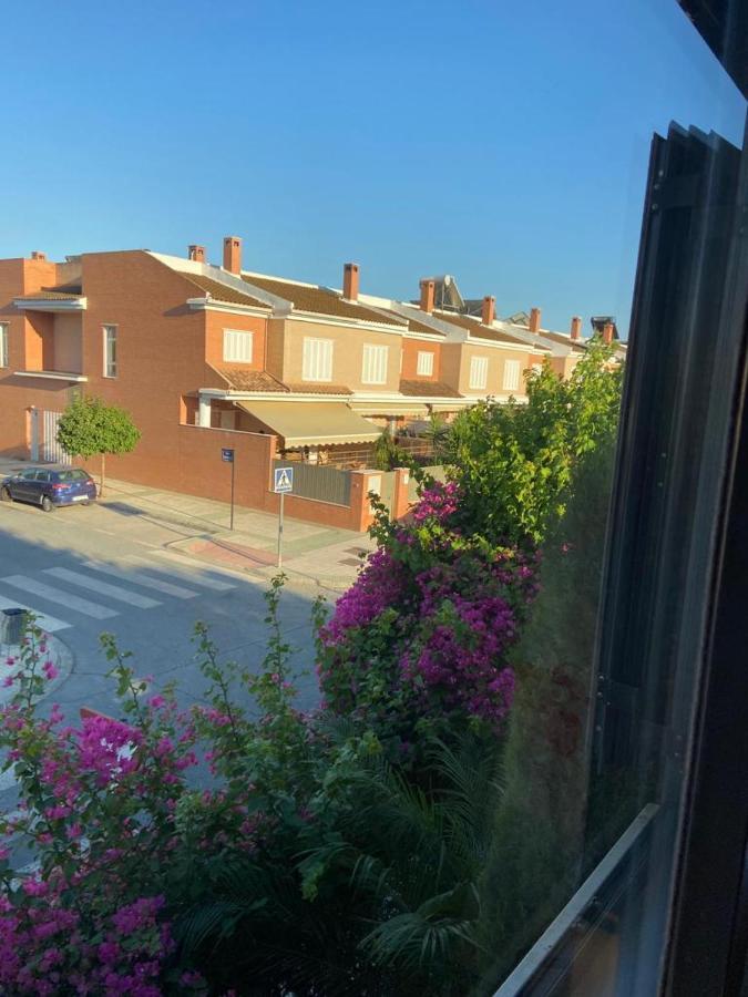 Paz Y Tranquilidad, A Un Paso De Sevilla San Juan de Aznalfarache Ngoại thất bức ảnh